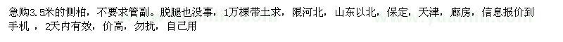 求購3.5米側(cè)柏