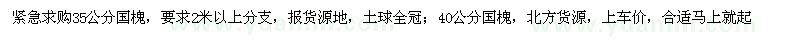 求購35公分、40公分國槐