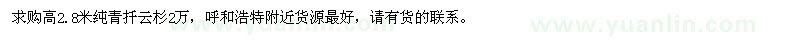 求購高2.8米純青扦云杉