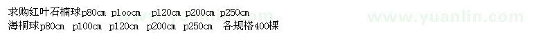 求購紅葉石楠球、海桐球