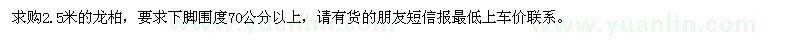 求購2.5米龍柏