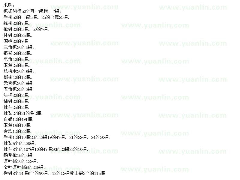 求購楓楊、垂柳、樸樹等苗木