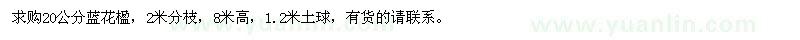 求購(gòu)20公分藍(lán)花楹