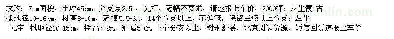 求購國槐、蒙古櫟、元寶楓