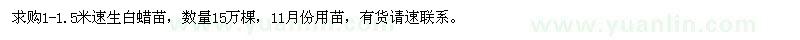 求購1-1.5米速生白蠟，15萬棵 11月份用苗