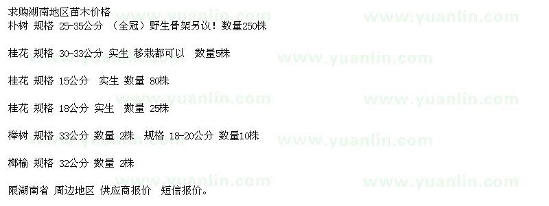 求購(gòu)樸樹、桂花、櫸樹、榔榆等苗木