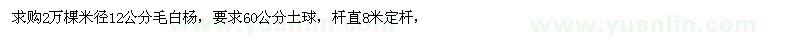 求購米徑12公分毛白楊 