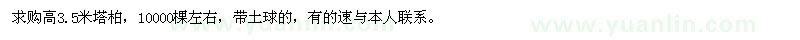 求購高3.5米塔柏