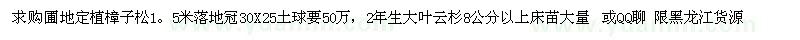 求購樟子松、大葉云杉 