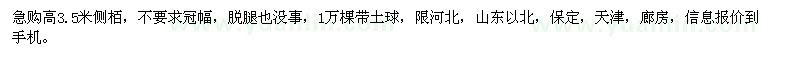 求購(gòu)高3.5米側(cè)柏