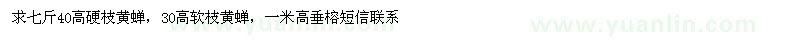 求購七斤40高硬枝黃蟬，30高軟枝黃蟬