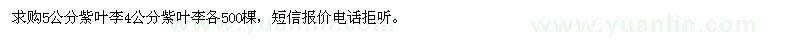 求購紫葉李
