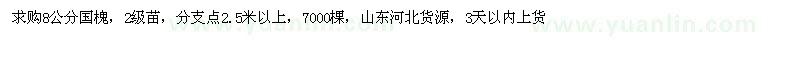 求購8公分國槐