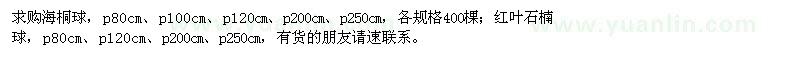 求購海桐球,紅葉石楠球