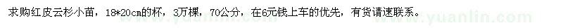 求購(gòu)紅皮云杉小苗