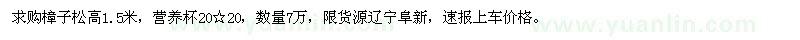 求購高1.5米樟子松