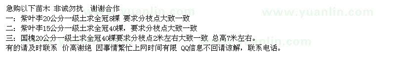求購15、20公分紫葉李、20公分國槐