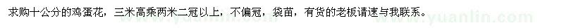 求購十公分雞蛋花