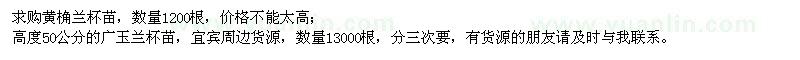 求購(gòu)黃桷蘭杯苗、廣玉蘭杯苗