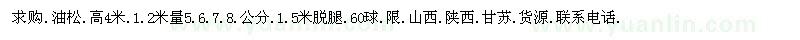 求購高4米油松
