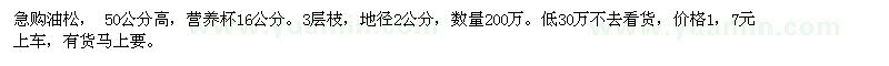 求購(gòu)高50公分油松