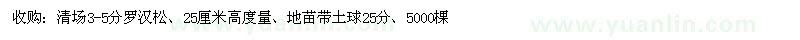 求購3-5公分羅漢松