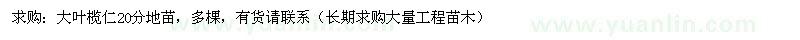 求購20公分大葉欖仁地苗