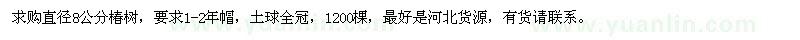 求購直徑8公分椿樹