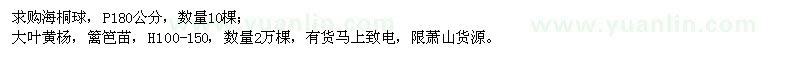 求購海桐球、大葉黃楊