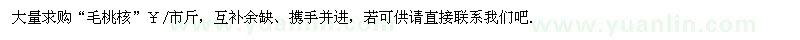 求購“毛桃子”/“毛桃核”市場價格