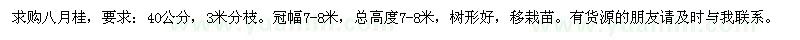 求購(gòu)40公分八月桂