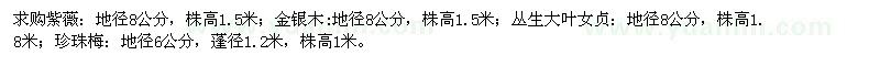 求購(gòu)紫薇、金銀木、叢生大葉女貞、珍珠梅