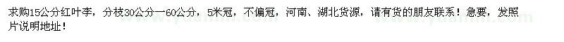 求購15公分紅葉李