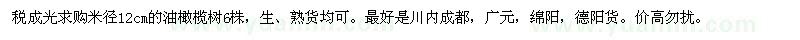 求購米徑12公分油橄欖
