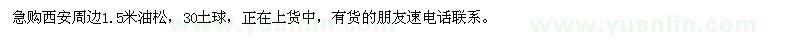 求購高1.5米油松