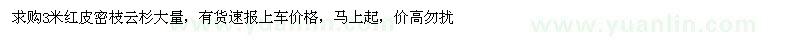 求購3米紅皮密枝云杉