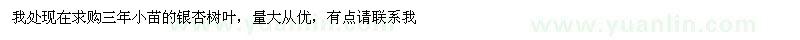 求購銀杏小苗