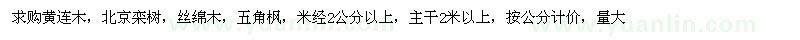 求購黃連木、北京欒樹、絲綿木