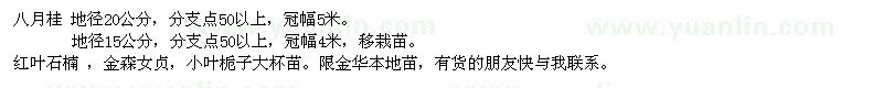 求購(gòu)八月桂、紅葉石楠、紅楓