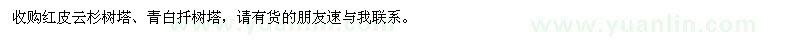 求購紅皮云杉樹塔、青白扦樹塔