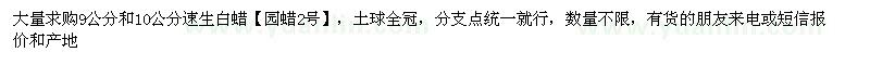 求購9、10公分速生白蠟
