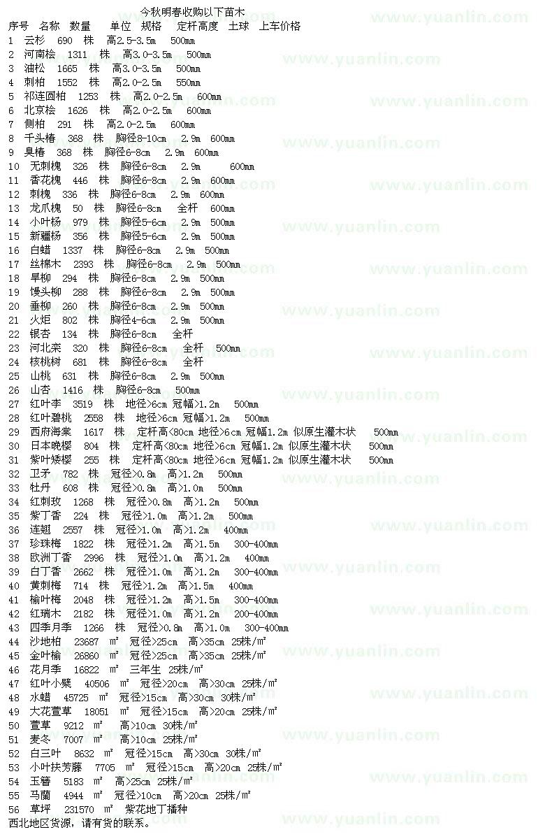 求購云杉、河南檜、油松、刺柏等