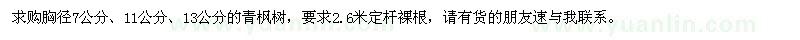 求購胸徑7公分、11公分、13公分青楓樹