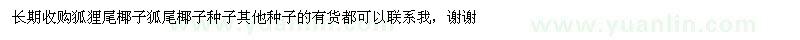 求購(gòu)長(zhǎng)期收購(gòu)狐貍尾椰子 狐尾椰子 種子