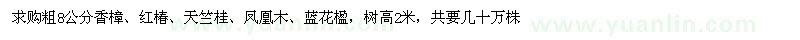 求購香樟、紅椿、天竺桂、鳳凰木、藍花楹
