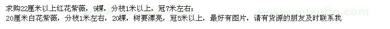 求購紅花紫薇、白花紫薇