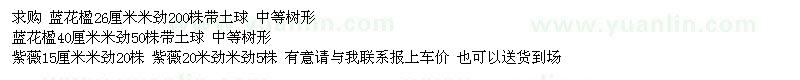 求購(gòu)藍(lán)花楹、紫薇