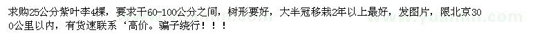 求購(gòu)25公分紫葉李