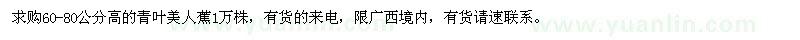 求購(gòu)高60-80公分青葉美人蕉