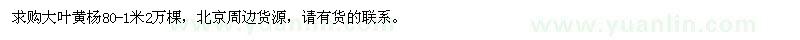 求購(gòu)80-1米大葉黃楊